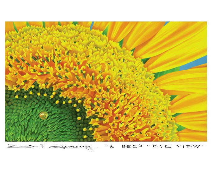 ArtCard - A Bee's-Eye View