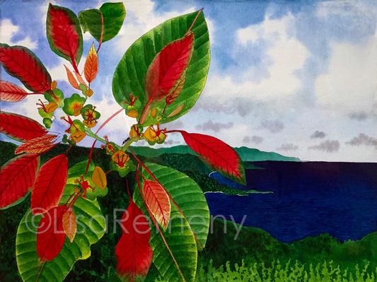 Archive - Watercolor + Ink on Paper - Poinsettia in the Hills