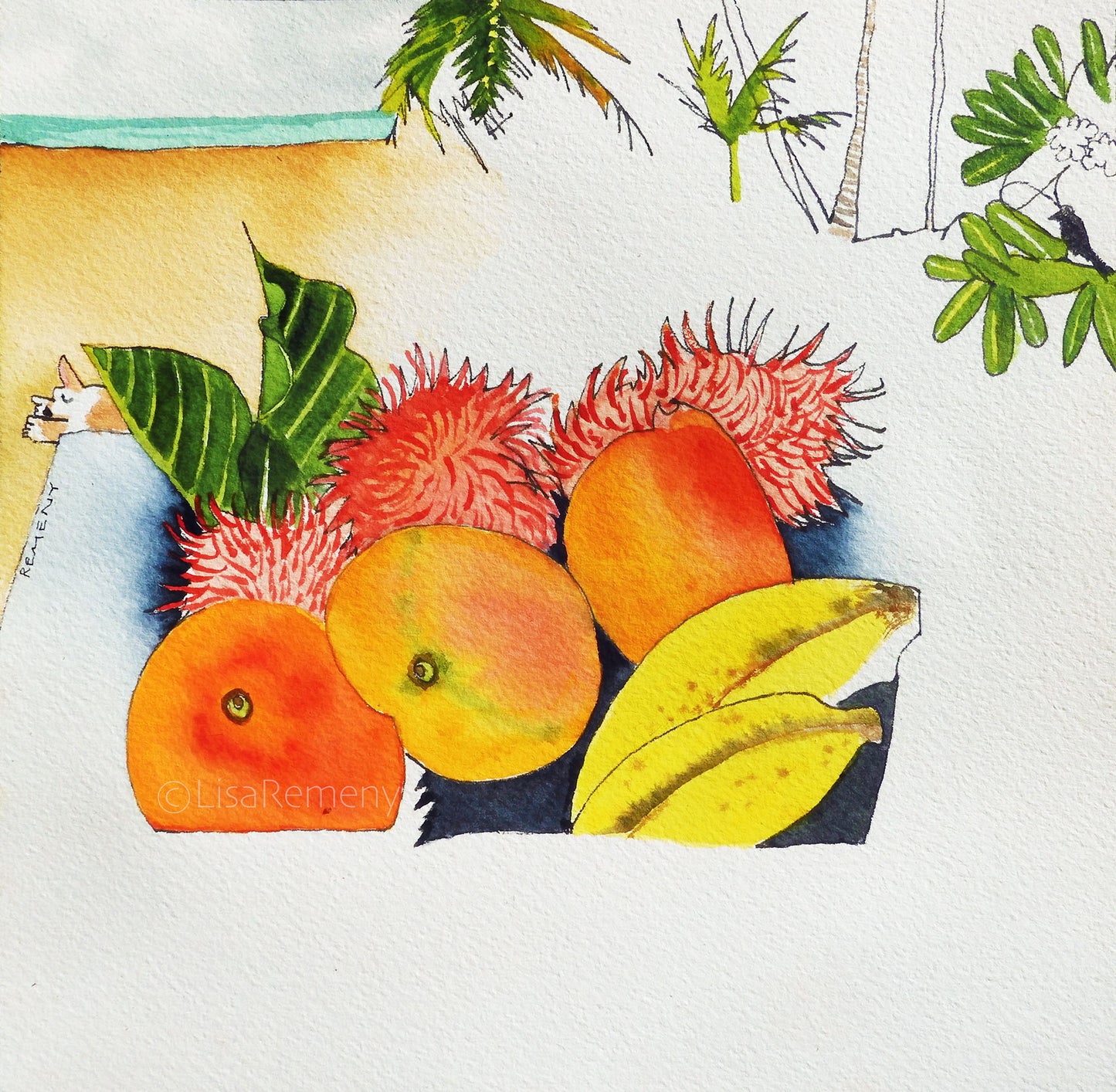 Watercolor & ink on Paper - Fruits on Negombo Beach, Sri Lanka