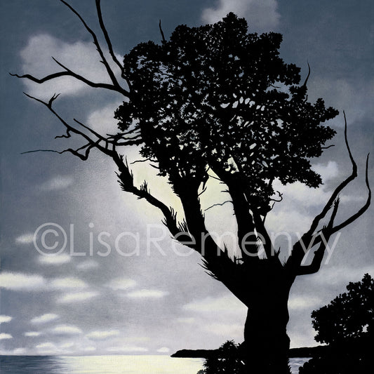 Giclée - Black Mangrove in Moonlight