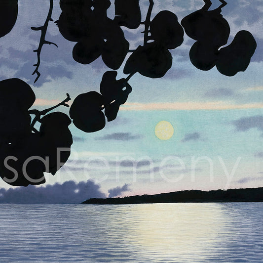 ArtCard - Moonlight on the Bay