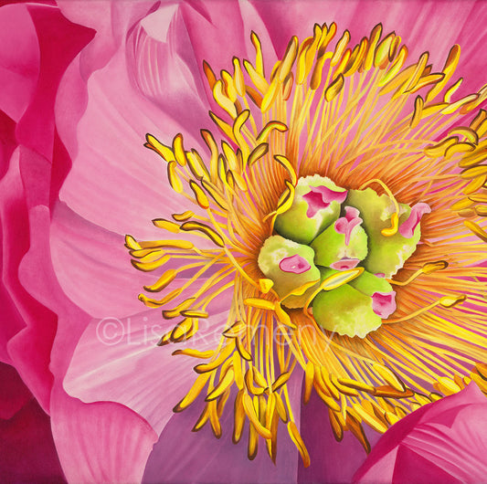 Giclée - Big Pink Peony (Sister From Another Planet)