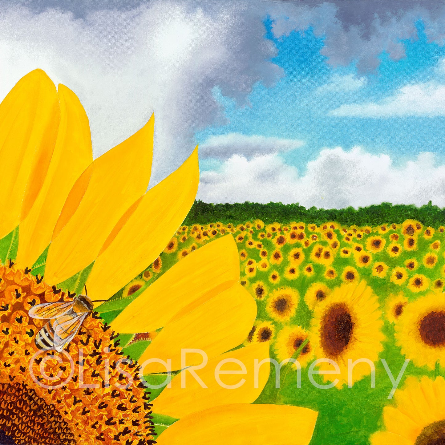 ArtCard - Bee's-Eye View in a Field of Gold (Keep on the Sunny Side)