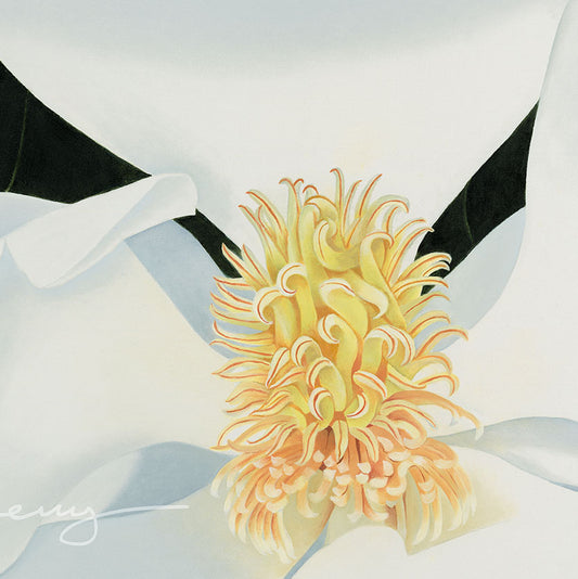 Giclée - Sugar Magnolia